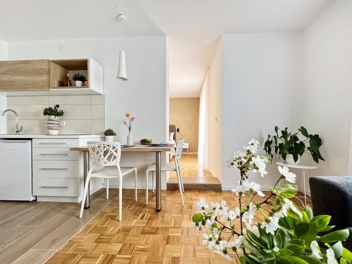 Apartments Valerian Novigrad  ภายนอก รูปภาพ